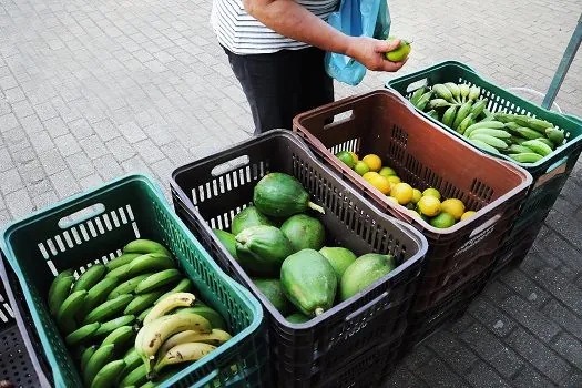 Venda de agroecológicos se consolida na Feira Noturna da Praça da Moça