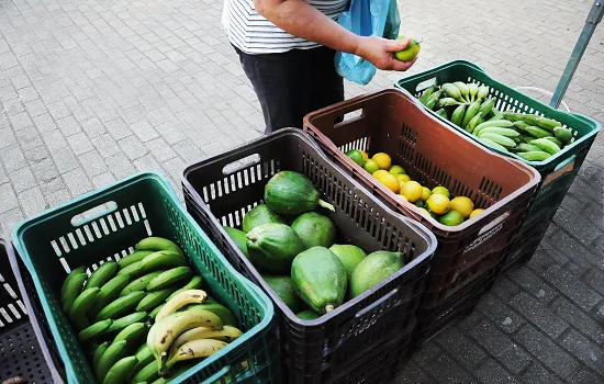 Venda de agroecológicos se consolida na Feira Noturna da Praça da Moça