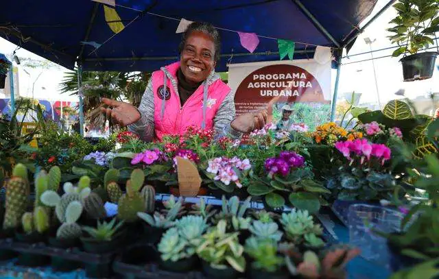 Amanhã tem Feira Agroecológica no Centro de Diadema