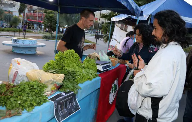 Feira Solidária vira atração em Diadema