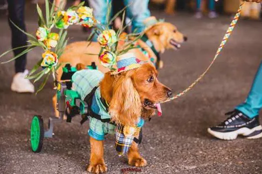 ArraiAU encerra a 9ª edição com a presença de mais de 1500 pets