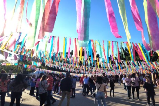 Tributo a Dominguinhos marca 2º dia do Arraial Cultural da Terceira Idade, em São Caetano