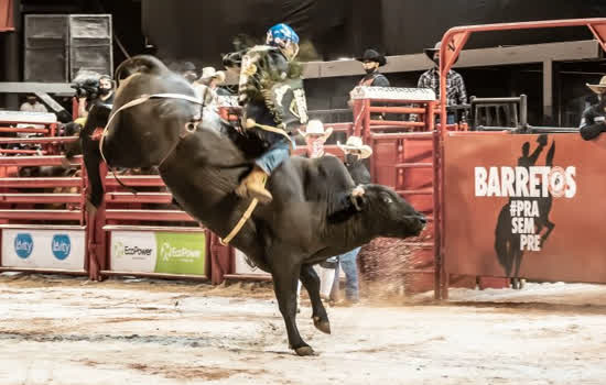 Festa do Peão de Barretos terá edição especial virtual com rodeios e shows em agosto