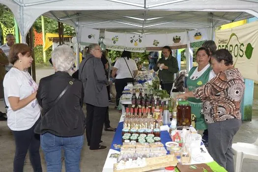 Parque Natural do Pedroso recebe primeira edição do seu Festival do Cambuci