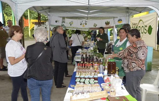 Parque Natural do Pedroso recebe primeira edição do seu Festival do Cambuci