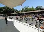 Festival de Ginástica e Vôlei agita o sábado no Parque Chico Mendes.