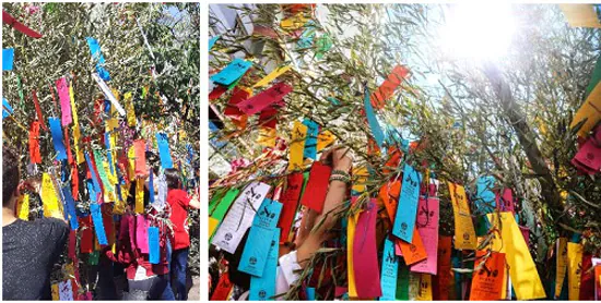 Brasil terá maior festival japonês de rua do mundo em versão digital