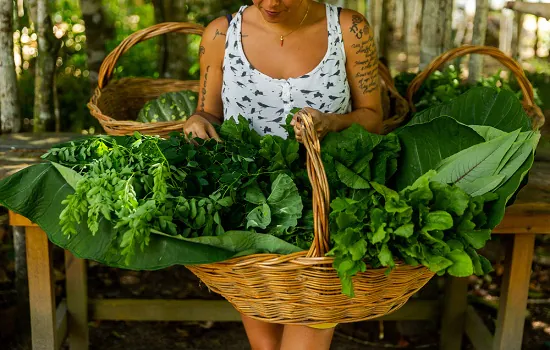 Trancoso promove a terceira edição do Organic Festival