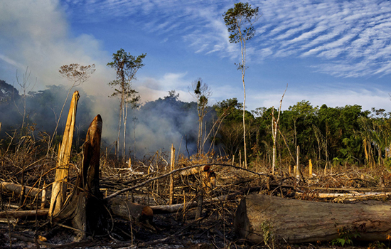 Procuradoria e AGU anunciam acordo de R$ 1 bi para Amazônia