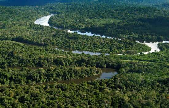 Vista da Floresta Amazônica