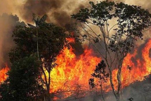 Fogo atinge lado brasileiro da Serra do Amolar e pode chegar à Bolívia