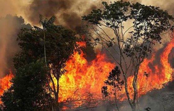 Fogo atinge lado brasileiro da Serra do Amolar e pode chegar à Bolívia