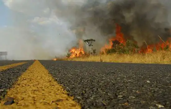 ARTESP alerta: bituca de cigarro pode provocar incêndio de grandes proporções nas rodovias