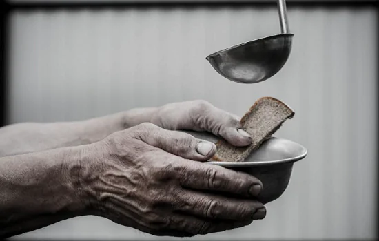 Solução criada na USP facilita tomada de decisão para o combate da fome