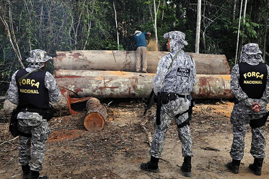 Justiça autoriza emprego da Força Nacional em ações do Ibama na Amazônia Legal