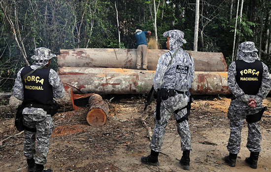 Justiça autoriza emprego da Força Nacional em ações do Ibama na Amazônia Legal