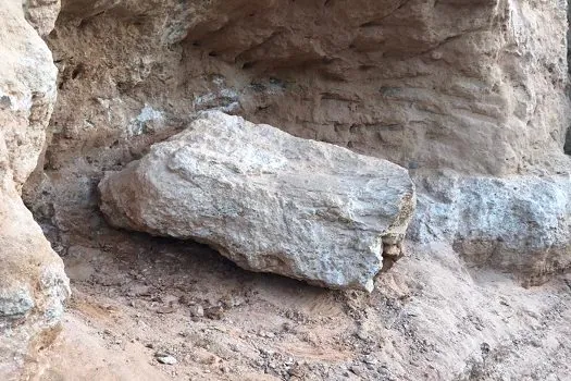 Fóssil de dinossauro é encontrado em obra rodoviária em Marília, no interior de SP