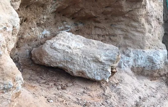 Fóssil de dinossauro é encontrado em obra rodoviária em Marília