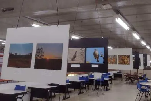 UFSCar apresenta exposição do Concurso de Fotografia do Cerrado