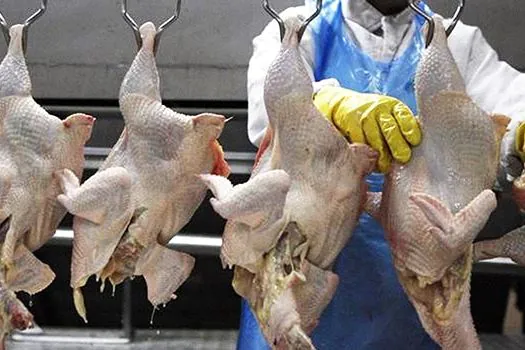 Arábia Saudita descredencia 33 unidades de carne de frango brasileiras