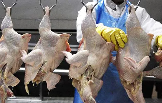 Arábia Saudita descredencia 33 unidades de carne de frango brasileiras