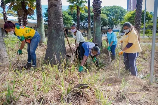 Santo André publica selecionados para as mil vagas da Frente Social de Trabalho