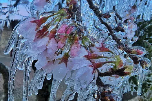 Depois de neve, SC tem previsão de -7ºc e pode registrar dia mais frio do ano