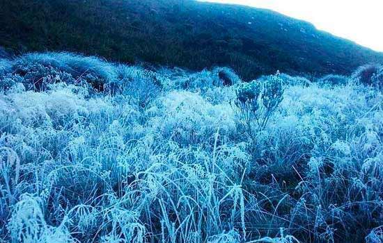 Frio impõe maiores cuidados com vírus de doenças respiratórias