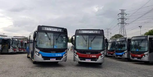 Transwolff renova frota e reafirma predileção por ônibus urbano Mercedes-Benz