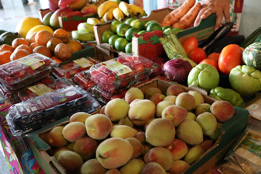 Feira livre de produtos sustentáveis ocupa a Praça do Sesc Avenida Paulista