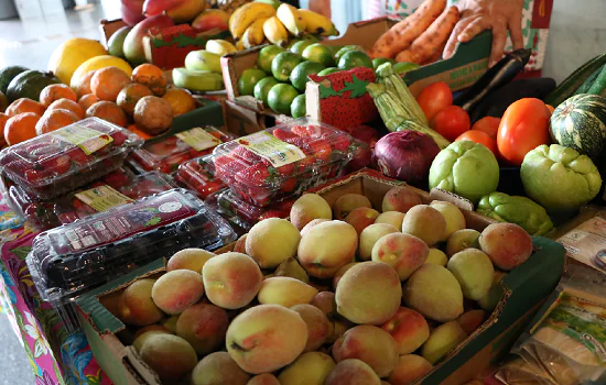 Feira livre de produtos sustentáveis ocupa a Praça do Sesc Avenida Paulista