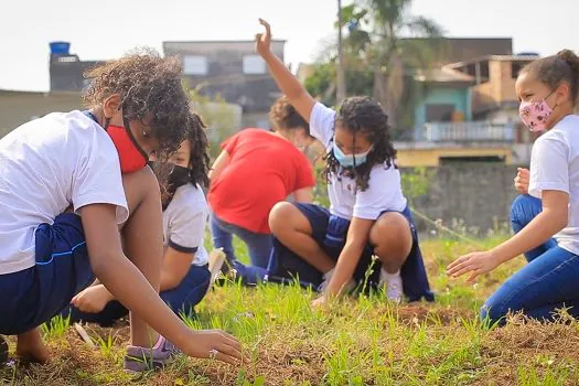 Formigas-de-embaúba leva educação ambiental crítica às escolas públicas