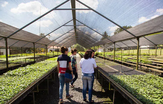 Fundação SOS Mata Atlântica realiza Porteira Aberta em sua sede em Itu