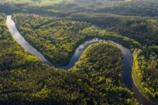 Noruega anuncia, na COP28, nova doação de R$ 245 milhões ao Fundo Amazônia