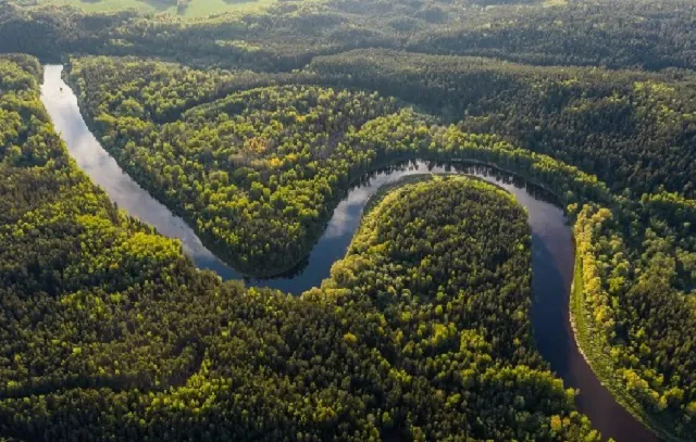 Fundo Amazônia e fim de desmate podem render R$ 95 bi em dez anos