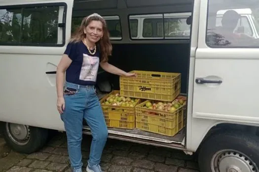 Fundo Social de Ribeirão Pires entrega 750 kg de alimentos para entidades sociais