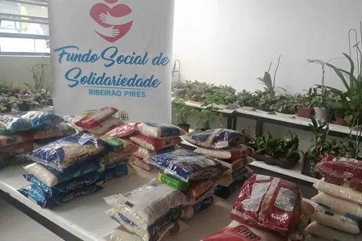 Fundo Social de Ribeirão Pires repassou 400 toneladas de alimentos em 2022