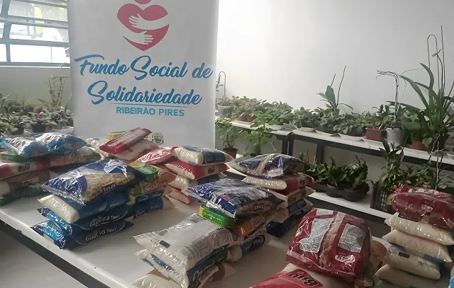 Fundo Social de Ribeirão Pires repassou 400 toneladas de alimentos em 2022