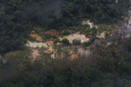 PF intensifica combate ao garimpo ilegal na Terra Yanomami