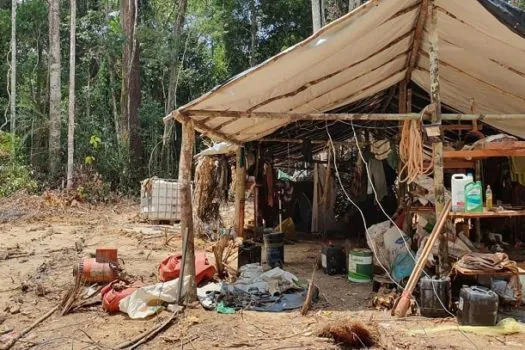 Mais de 19 mil garimpeiros deixaram área Yanomami, afirma senador