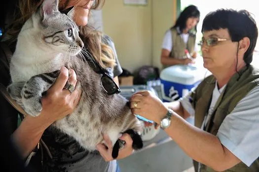 Prefeitura de SP publica lei que estabelece ‘Virada da Castração’ anual para cães e gatos