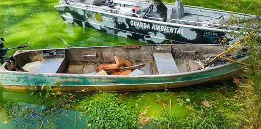 Guarda Ambiental de São Bernardo detém indivíduo em flagrante por pesca predatória