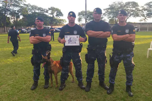 Canil da GCM de Ribeirão Pires participa do 1º Torneio de Cães Policiais