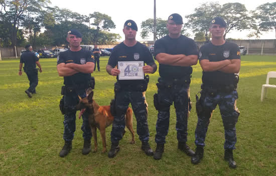 Canil da GCM de Ribeirão Pires participa do 1º Torneio de Cães Policiais