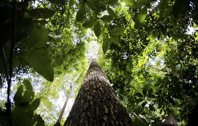 Manaus sedia primeira edição da Glocal Amazônia