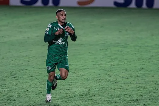 Com belo gol no fim, Goiás vence Palmeiras no Serrinha