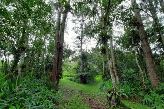 Governo de SP vai investir R$ 1,4 milhão em projetos de conservação ambiental