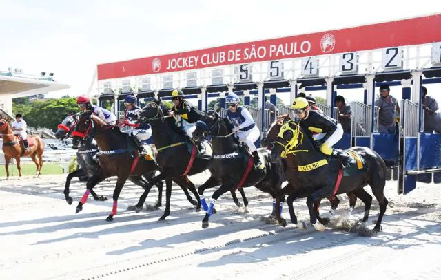 Grande Prêmio de Turfe chega à 100ª edição no Jockey Club de São Paulo