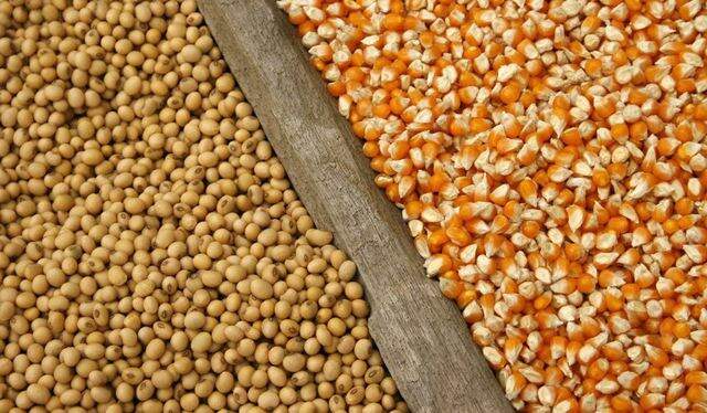 Estudo aponta incremento de 37% na produção de grãos no Matopiba em dez anos