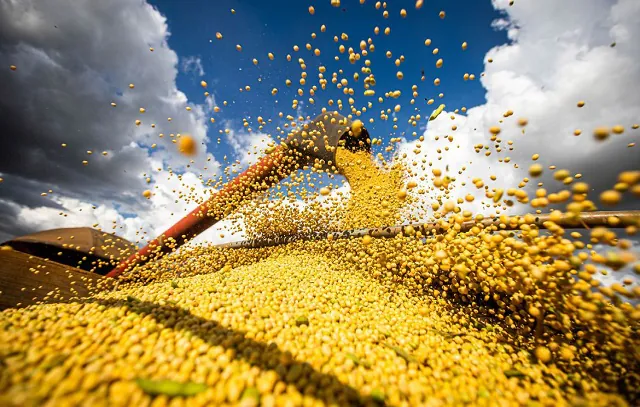 Produção de grãos atinge recorde e tem alta de 18